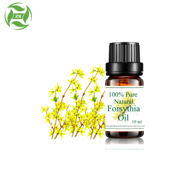 100% pure Forsythia essential oil