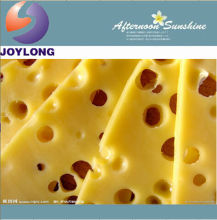 Small scale fresh mozzarella cheese producing machine factory