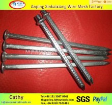 HOT SALES Hot dipped galvanized square boat nails