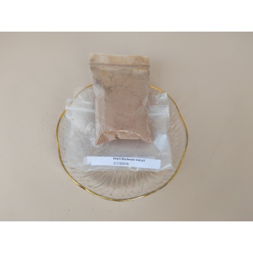Ekstrak Cendawan Reishi