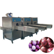 KLS Onions Processing Machinery: Onion Top and Tail Cutting Machine