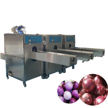 KLS Onions Processing Machinery: Onion Top and Tail Cutting Machine