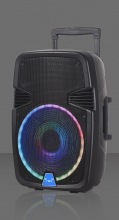 HI-FI Professional Wireless Speaker For Party