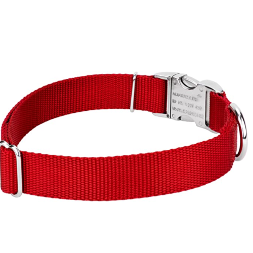 Premium Nylon Hundehalsband mit Metallschnalle