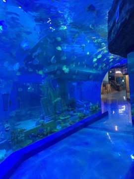 Curved cast PMMA Panel Sheet for Acrylic Tunnel