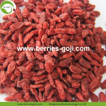 Factory Supply Bulk Nutrition Dried Fruit Goji Berry