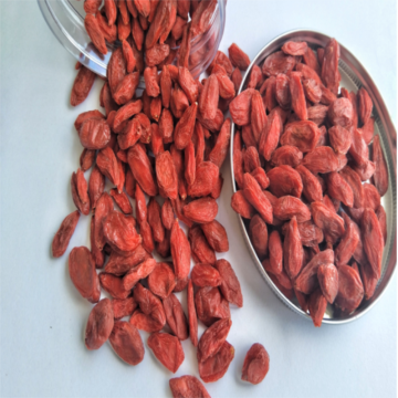 Ningxia Low residues Goji berry Chinese wolfberry