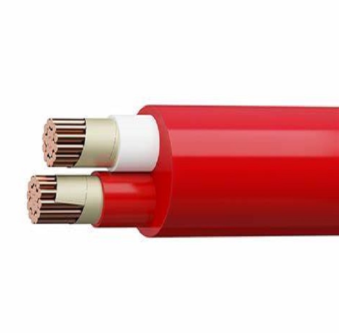 Fire Rated Cable 222 Jpg