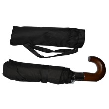 2 fold windproof uv protective umbrella promotion raines umbrella two fold