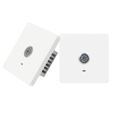Smart Voice-Activated 220V Wall Switch with Light Control