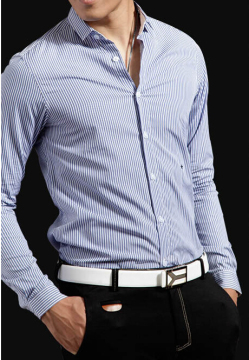 Men's Tc Poplin Long Sleeve Striped Tailored Shirt