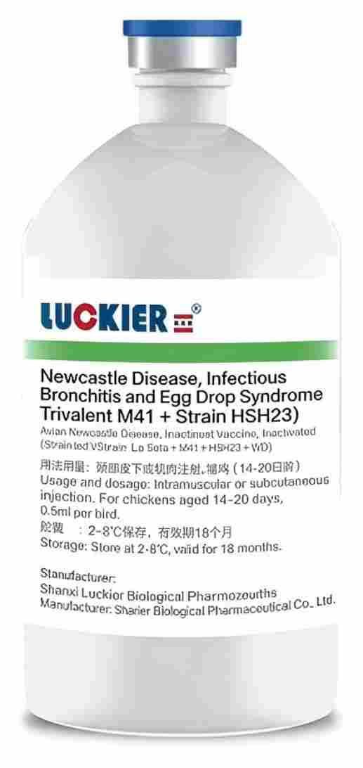 Vaccin trivalent contre la maladie de Luckier-Newcastle, la bronchite infectieuse et le syndrome de la chute des œufs, inactivé (souche La Sota+souche M41+souche HSH23)(1) Luckier-Newcastle Disease,Infectious Bronchitis and Egg Drop Syndrome Trivalent Vaccine,Inactivated(Strain La Sota+Strain M41+Strain HSH23)(1)
