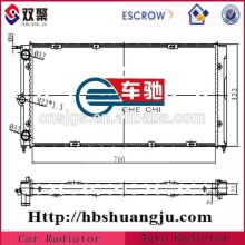 Radiator rust preventive