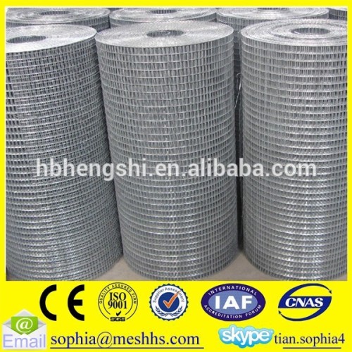 10 gauge wire mesh