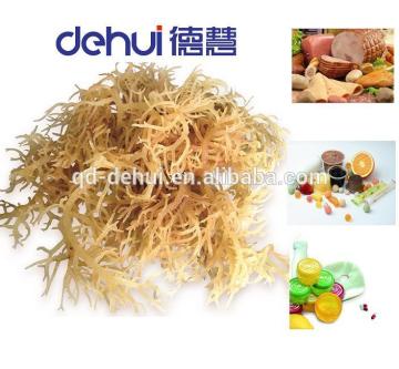 DEHUI E407 Carrageenan/ Carrageenan Thickeners