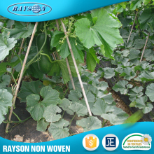 Top Selling Products In Alibaba Breathable Agriculture Nonwoven
