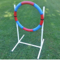 Lightweight Agility Practice Tire for dog