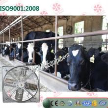 Edit Ventilation Cooling Fan for Dairy House