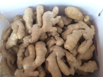 Keep Fresh Spicy And Air Dried Ginger