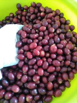 Pure Soluble Coffee In Bulk