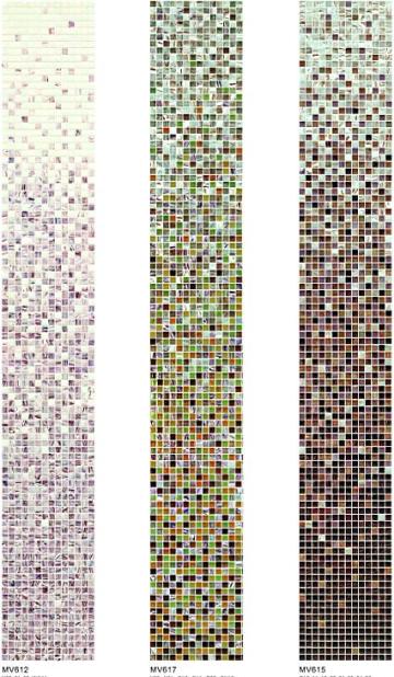 Mosaic Color Variation (MV612, MV617, MV615)