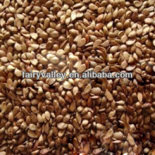 Apple tree seeds nursery/Fuji apple trees seeds for growing