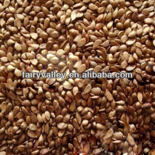 Apple tree seeds nursery/Fuji apple trees seeds for growing