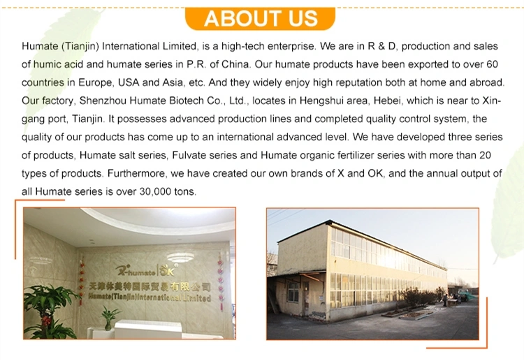 Lignite Resin Oil Drilling Fluids 70%-95%Min Causticized Lignite