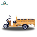 Auto Carry Load Goods Electrical Cargo Tricycles