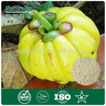 Gamboge Fruit Extract/Garcinia Cambogia 50%-60% HCA