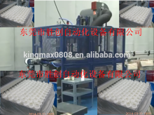 bottle paper box/case packing machine