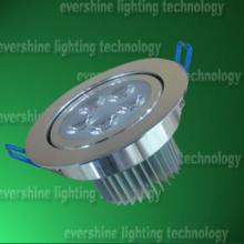 LED Screw Bulb