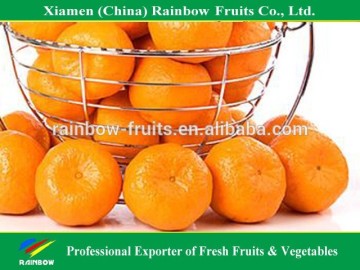 Fresh Ponkan Citrus Orange from China