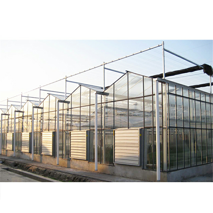 Venlo Greenhouse3