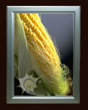 Double Faces Slim Light Box