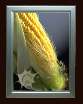 Double Faces Slim Light Box