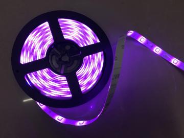 DC24V Waterproof Purple Flexible LED Strip