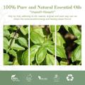 Más vendida 100% de aceite de albahaca de plantas puro para aceite de masaje