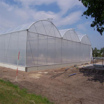 6m/8m/10m Large Multi span Film Greenhouse