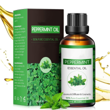 Peppermint Plant Extract Diffuser Massage Fragrance Oil