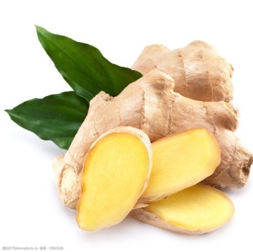 Fresh Ginger with Mesh Bag Packing