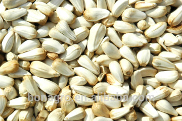 Chinese safflower seeds