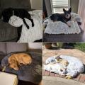 أريكة نمط الكلب السرير القط السرير أريكة حصيرة غطاء