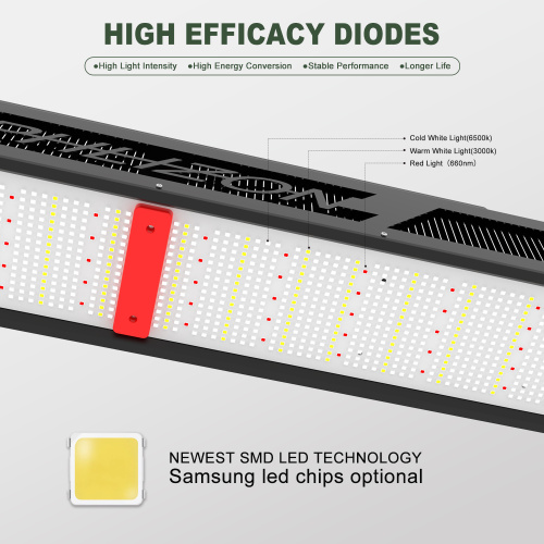 Đèn LED làm vườn thương mại LED LED TOP