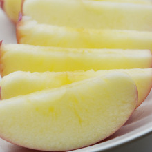 Cheap price apple fresh