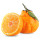 最高品質のバレンシアオレンジ