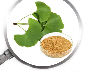 Indian herbs sphaeranthus indicus extract East Indian Globe