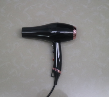 2000W Beauty Hair Machine Electric Inoic Hair Blower