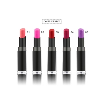 Private Label Bright Waterproof Naakt Velvet Lipstick Set