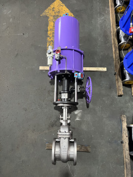 Stainless gate valve with pneumatic actuator
